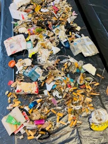 Projekt: „Plastik-NEIN danke!“ 